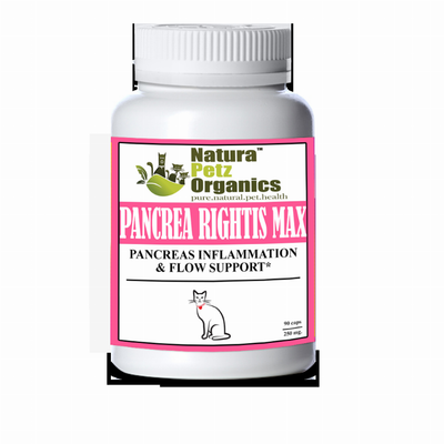 Pancrea Rightis Max Support Capsules Pancreas Inflammation & Flow Support for Cats