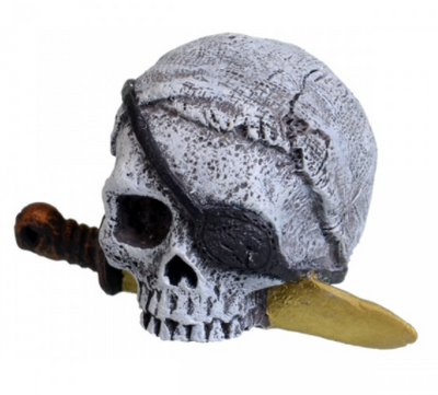 Underwater Treasures Pirate Skull