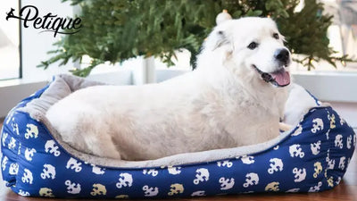 Anchors Away Pet Bed For Dog