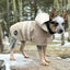 Sport Luxe Hooded Raincoat For Dogs