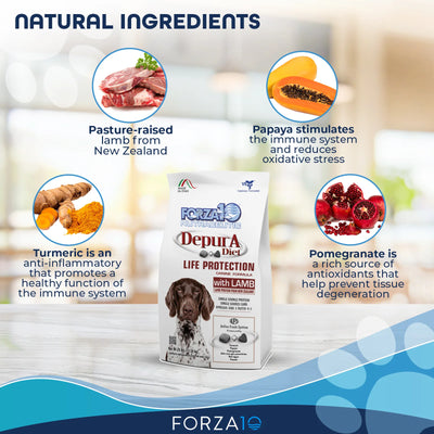 Forza10 Active Depura Diet Lamb Dry Dog Food 2