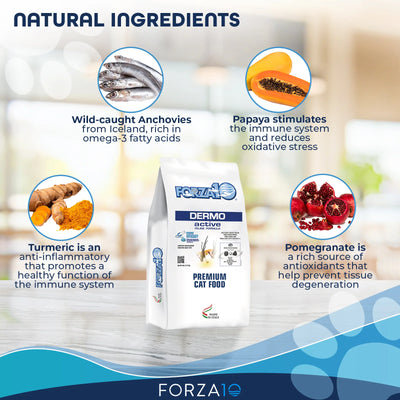 Forza10 Active Dermo Dry Cat Food Natural Ingredients