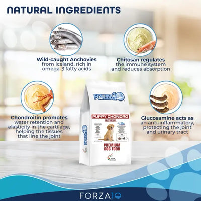 Forza10 Active Puppy Chondro Diet Dry Dog Food Natural Ingredients