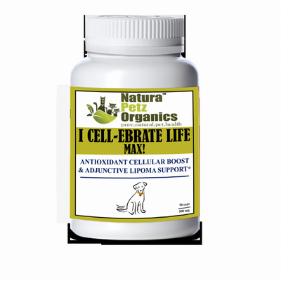 I Cellebrate Life Max - Antioxidant Cellular Boost + Adjunctive Lipoma Support* for dogs