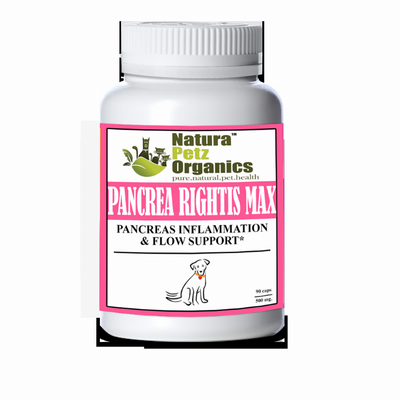 Pancrea Rightis Max Support Capsules Pancreas Inflammation & Flow Support Dogs 